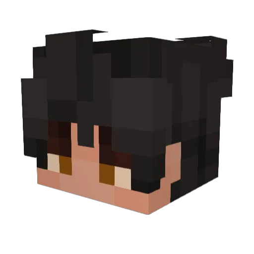 Sodapop3 Minecraft avatar head, 3D render