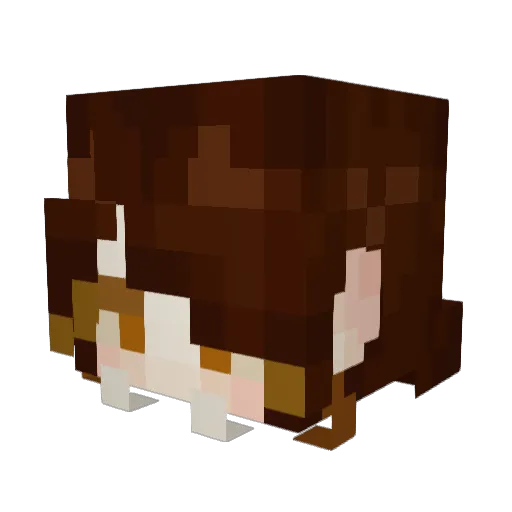 Sodapsone Minecraft avatar head, 3D render