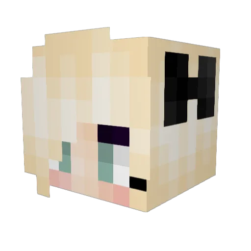 Sodaseed Minecraft avatar head, 3D render