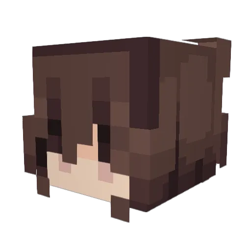 Sodawater213 Minecraft avatar head, 3D render