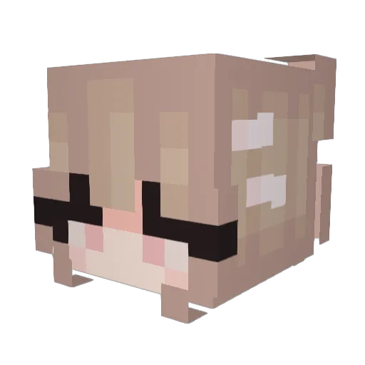Sodelio Minecraft avatar head, 3D render