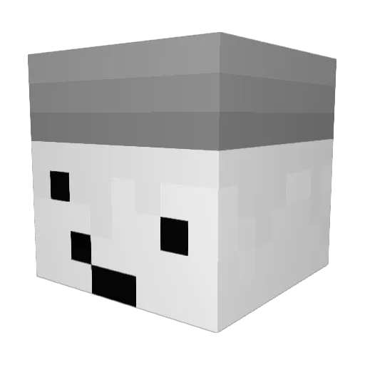 SodiumChloride2 Minecraft avatar head, 3D render
