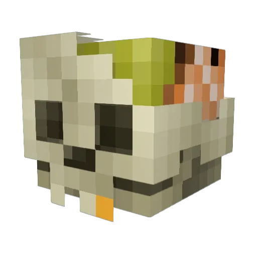 SodiumMe Minecraft avatar head, 3D render
