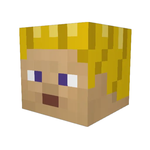 Sodium_Alginate Minecraft avatar head, 3D render