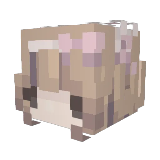 Sodnaynay Minecraft avatar head, 3D render