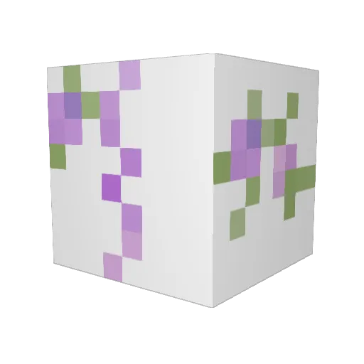 Sodolosis Minecraft avatar head, 3D render