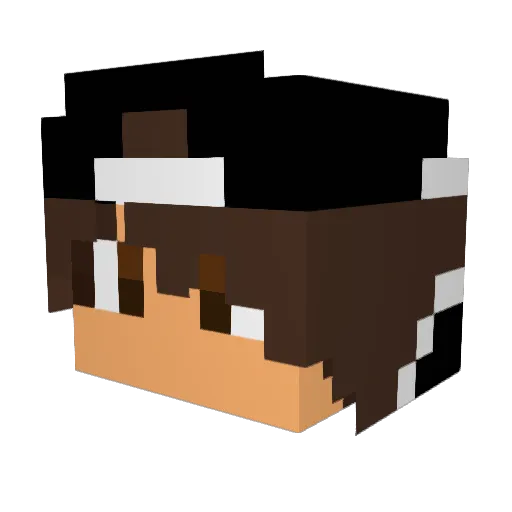 Sodurak_fht Minecraft avatar head, 3D render