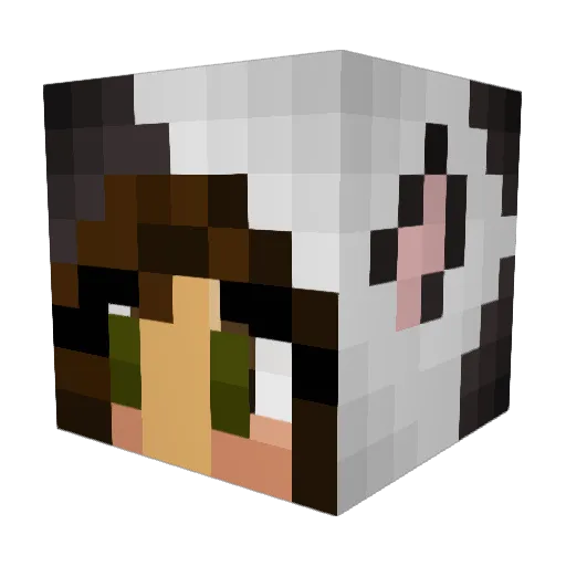 Soelyyy Minecraft avatar head, 3D render