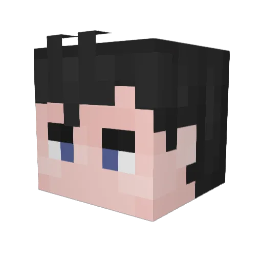 Soen_0 Minecraft avatar head, 3D render