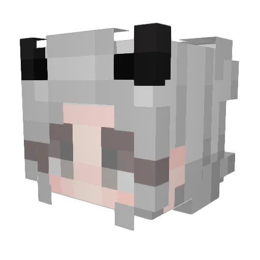 Soesun Minecraft avatar head, 3D render