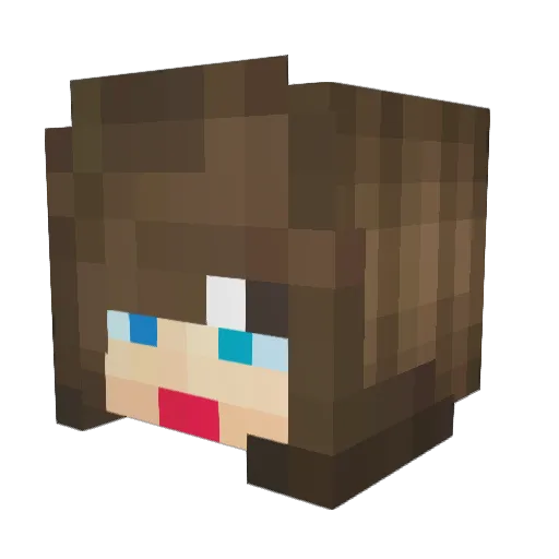 Sof16R5 Minecraft avatar head, 3D render