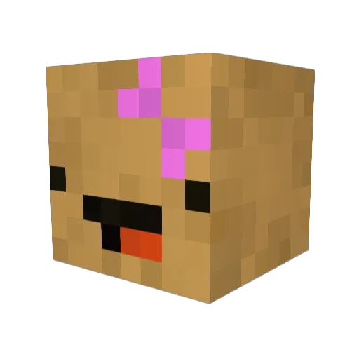 SofTheSavajadora Minecraft avatar head, 3D render
