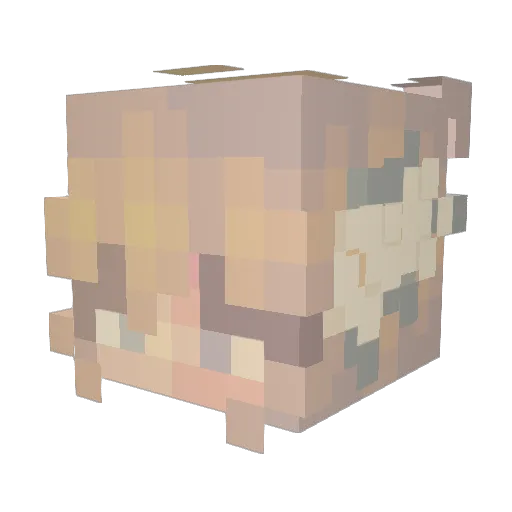 SofTof143 Minecraft avatar head, 3D render