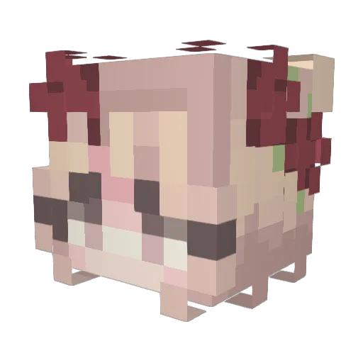 Sof_antastica Minecraft avatar head, 3D render