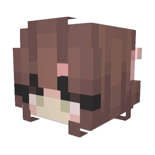 Sofa2394 Minecraft avatar head, 3D render