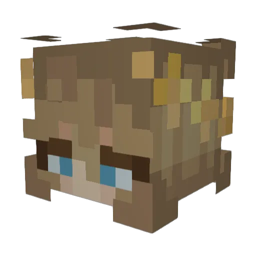 Sofa_The_Bee Minecraft avatar head, 3D render
