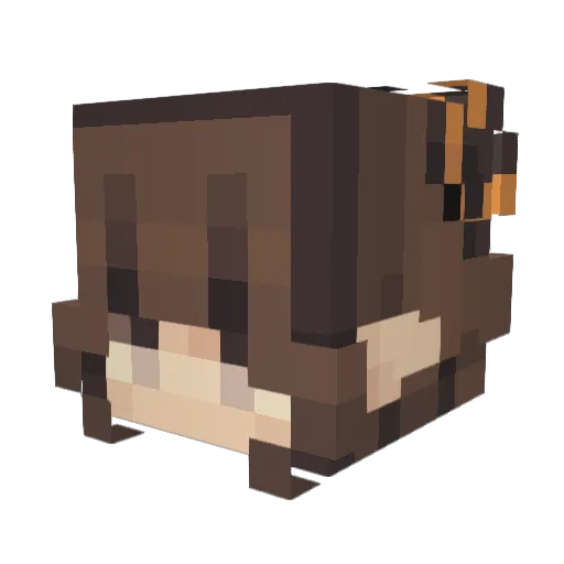 Sofae07 Minecraft avatar head, 3D render