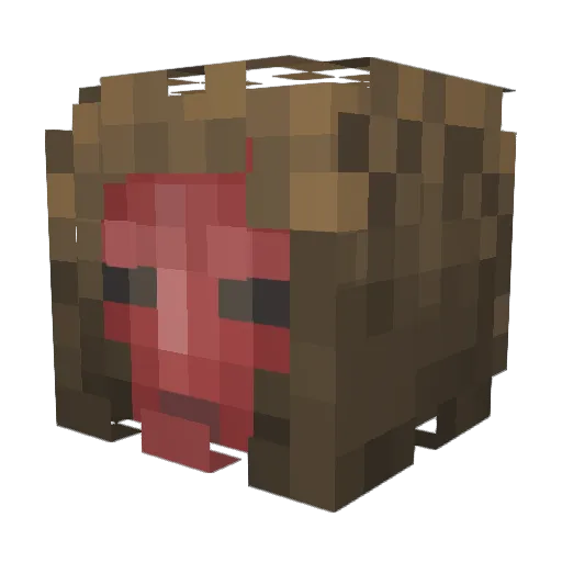 Sofalo Minecraft avatar head, 3D render