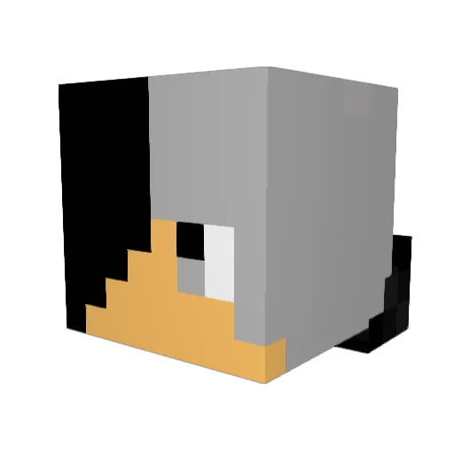 Sofas Minecraft avatar head, 3D render