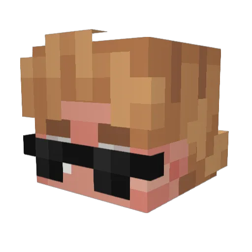 Soferoo Minecraft avatar head, 3D render
