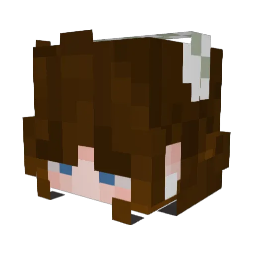 Soffe100 Minecraft avatar head, 3D render