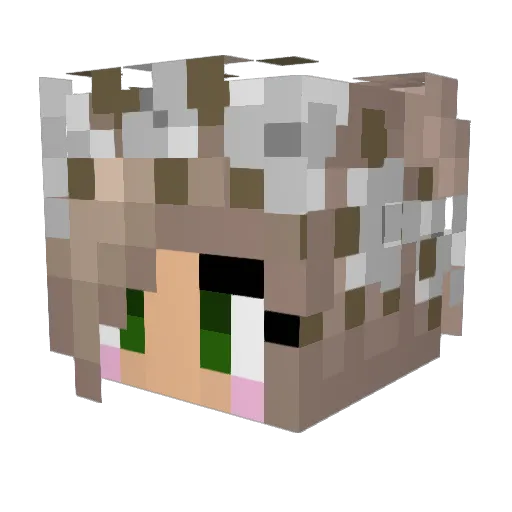 Sofffka Minecraft avatar head, 3D render