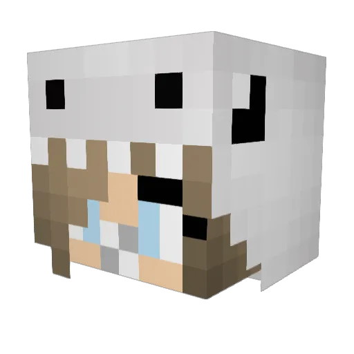 Soffif Minecraft avatar head, 3D render