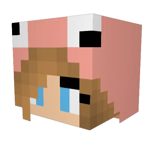 Sofi2004 Minecraft avatar head, 3D render