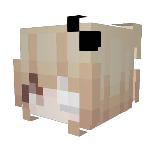 Sofi5k Minecraft avatar head, 3D render
