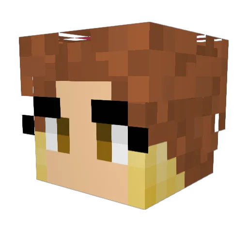 Sofi_Shrimp Minecraft avatar head, 3D render