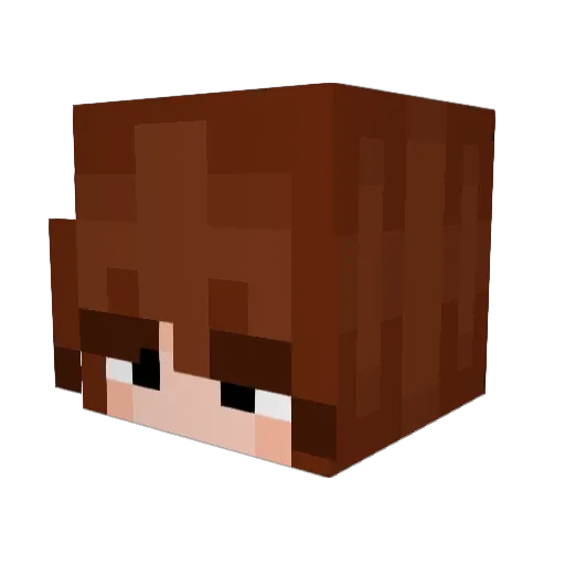 Sofia0410 Minecraft avatar head, 3D render