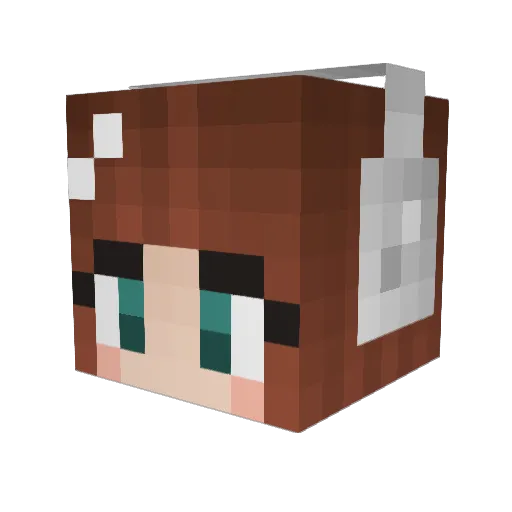 Sofia799 Minecraft avatar head, 3D render
