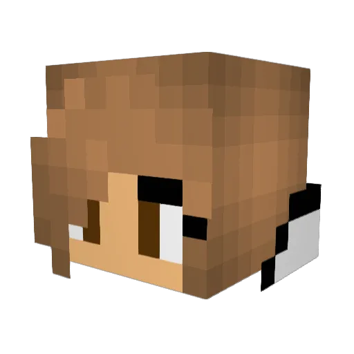 SofiaDonna Minecraft avatar head, 3D render