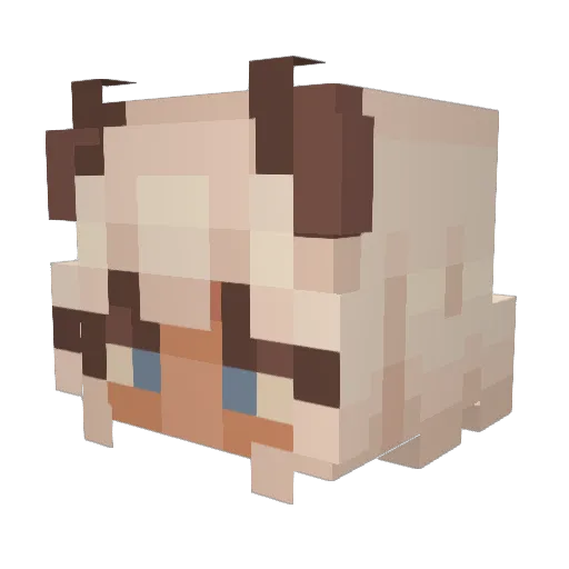 SofiaHansen1992 Minecraft avatar head, 3D render