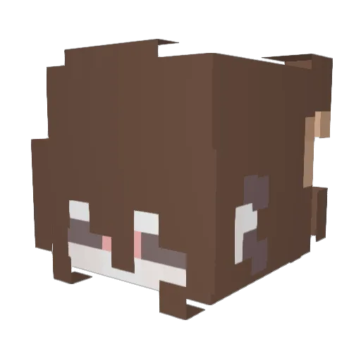Sofia_Minecraft Minecraft avatar head, 3D render
