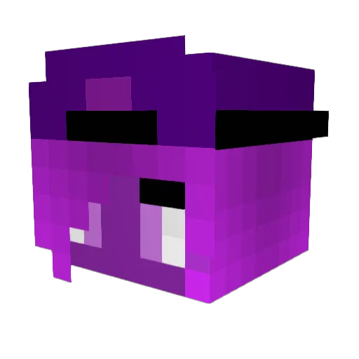 Sofia__Afton Minecraft avatar head, 3D render