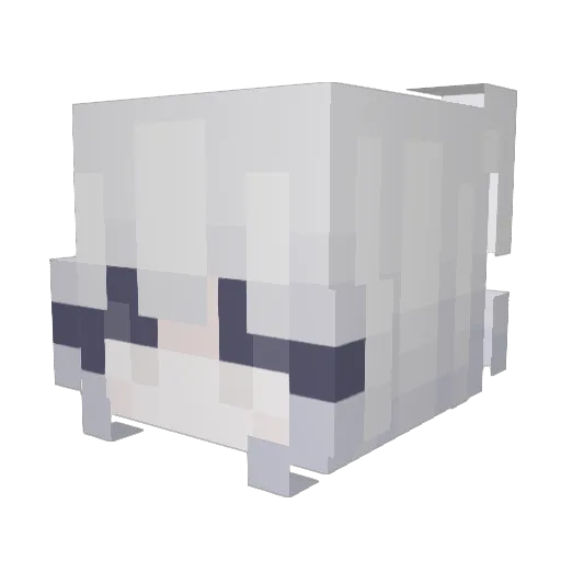 Sofiiaa16 Minecraft avatar head, 3D render