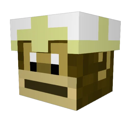 Sofiiax_ Minecraft avatar head, 3D render