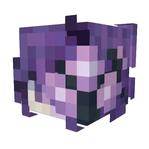 Sofikaaa Minecraft avatar head, 3D render
