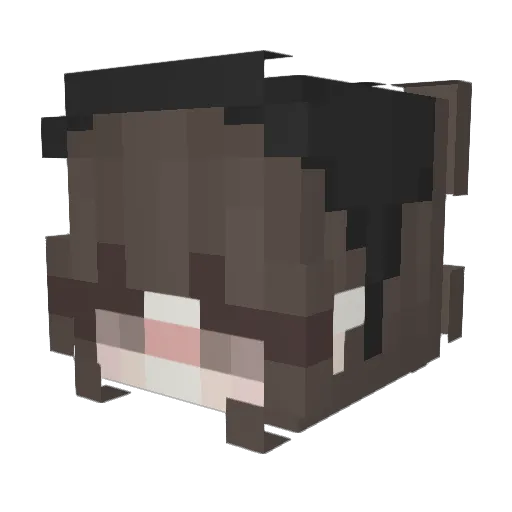 Sofikk_ Minecraft avatar head, 3D render