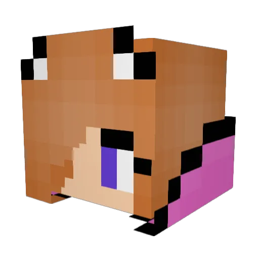 Sofikuo2006 Minecraft avatar head, 3D render