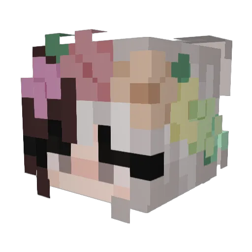 Sofipium Minecraft avatar head, 3D render