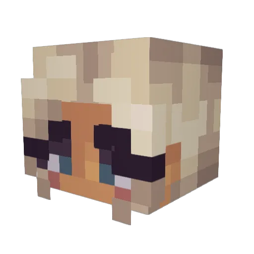 Sofizilla Minecraft avatar head, 3D render