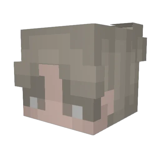 Soflar Minecraft avatar head, 3D render