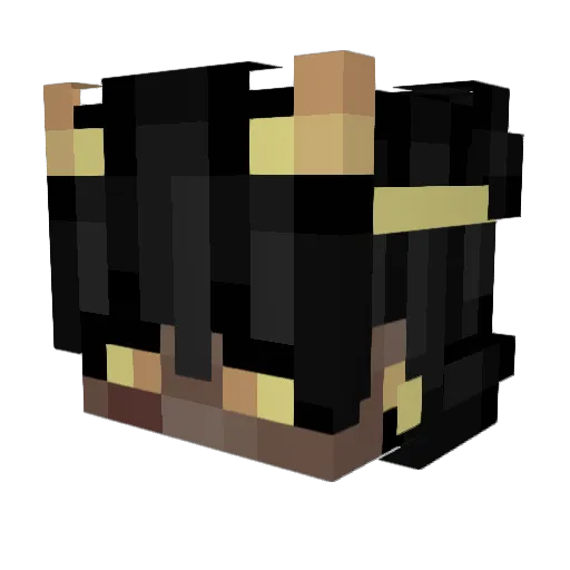 Soflys Minecraft avatar head, 3D render