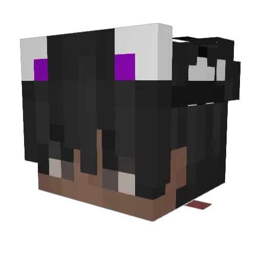 Soft2705 Minecraft avatar head, 3D render