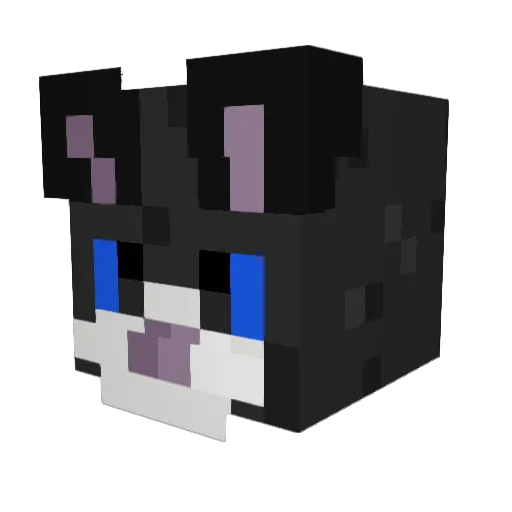 SoftPaw_ Minecraft avatar head, 3D render