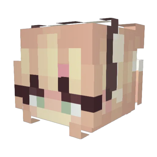 SoftPunch Minecraft avatar head, 3D render