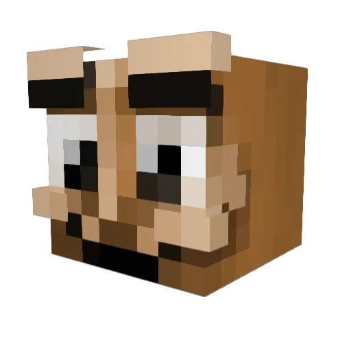 SoftWan_ Minecraft avatar head, 3D render
