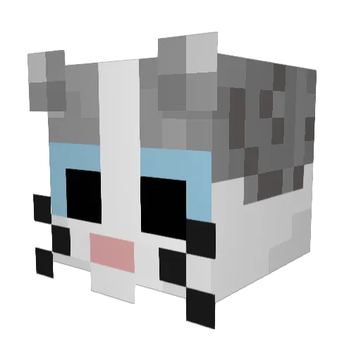 Soft_135 Minecraft avatar head, 3D render